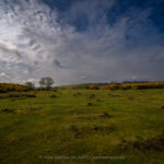 In this quiet meadow, time seems to pause. The soft rustle of grass and distant chirps of unseen birds create a gentle harmony that calms the heart. The sky, dramatic yet tender, mirrors the complexity of emotion hope, reflection, serenity. As shadows dance across the hills, you feel a profound connection to the earth, a reminder that beauty often lies in stillness. Here, nature whispers its timeless story, inviting you to simply be.