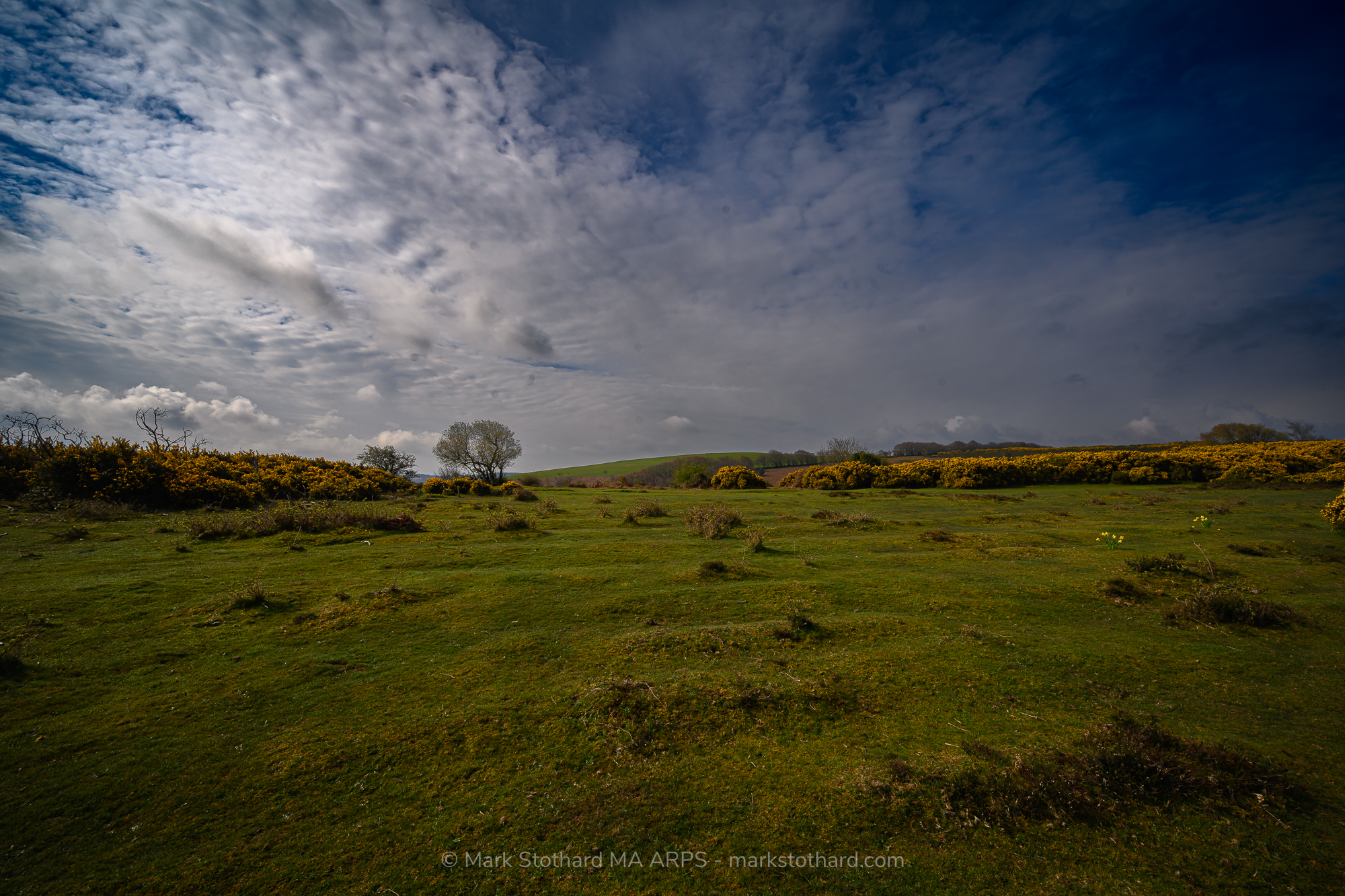 In this quiet meadow, time seems to pause. The soft rustle of grass and distant chirps of unseen birds create a gentle harmony that calms the heart. The sky, dramatic yet tender, mirrors the complexity of emotion&mdash;hope, reflection, serenity. As shadows dance across the hills, you feel a profound connection to the earth, a reminder that beauty often lies in stillness. Here, nature whispers its timeless story, inviting you to simply be.
