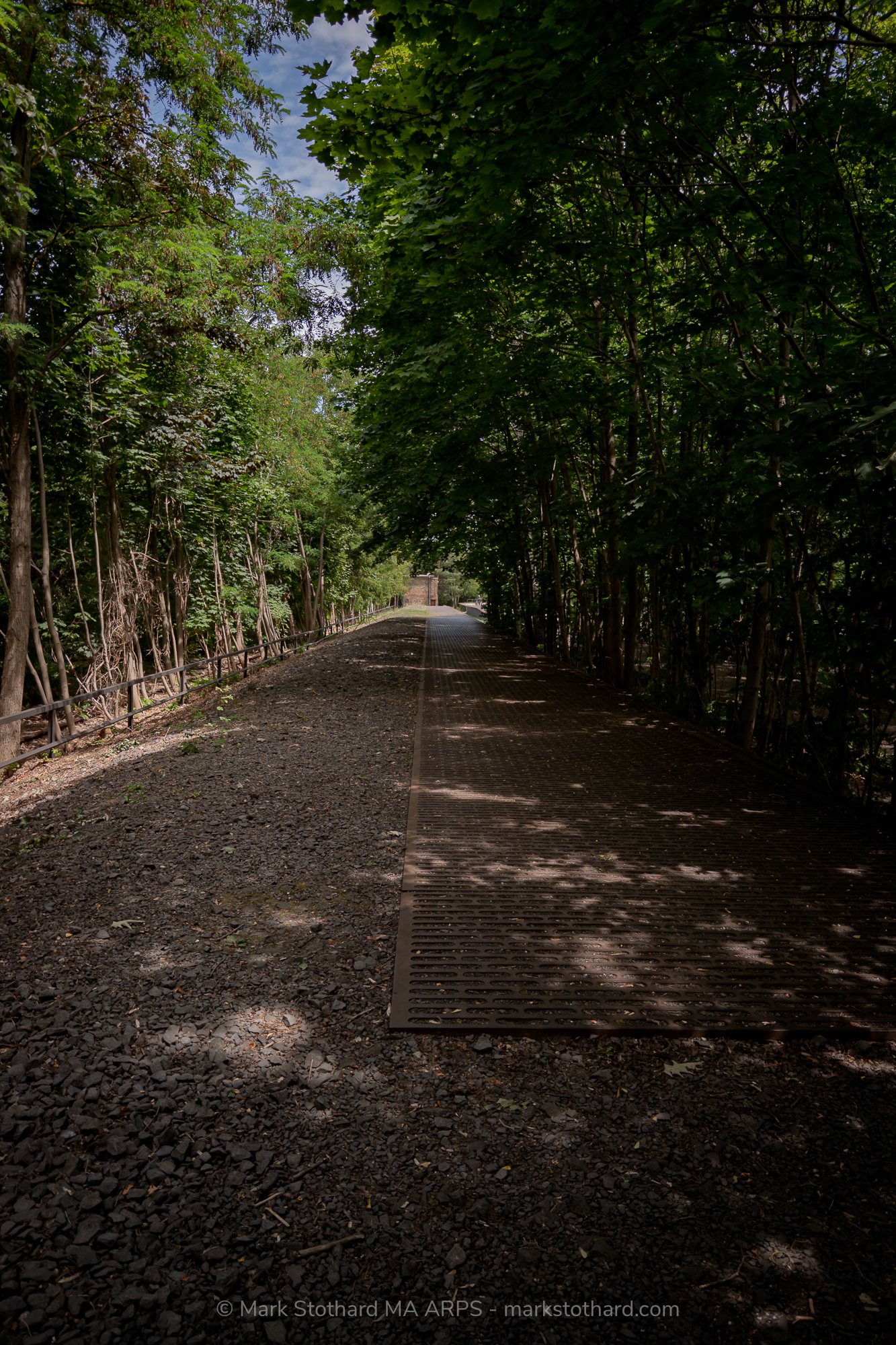 A tree lined pathway at Platform 17 in Berlin stretches into shadow and light. Once a departure point for thousands of Jews deported during the Second World War, the site now stands silent. Nature frames the track bed, where absence speaks with a weight history refuses to release.