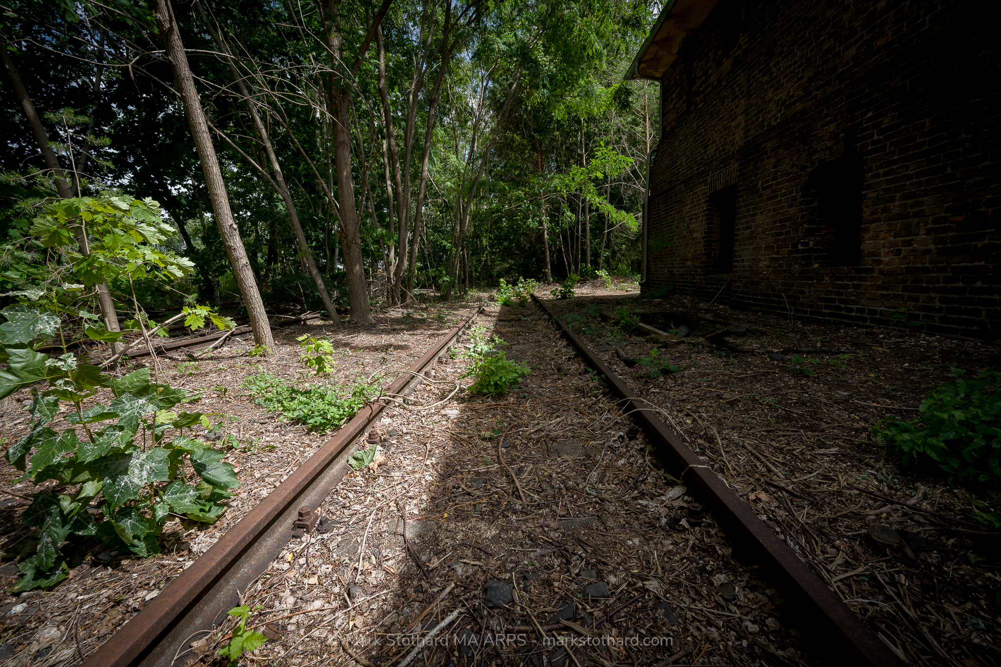 Overgrown railway tracks disappear into woodland beside the signial box at Platform 17, Berlin. From this place, thousands of Jews were deported during the Second World War to concentration camps. Nature now reclaims the line, yet the silence holds the weight of absence and memory.