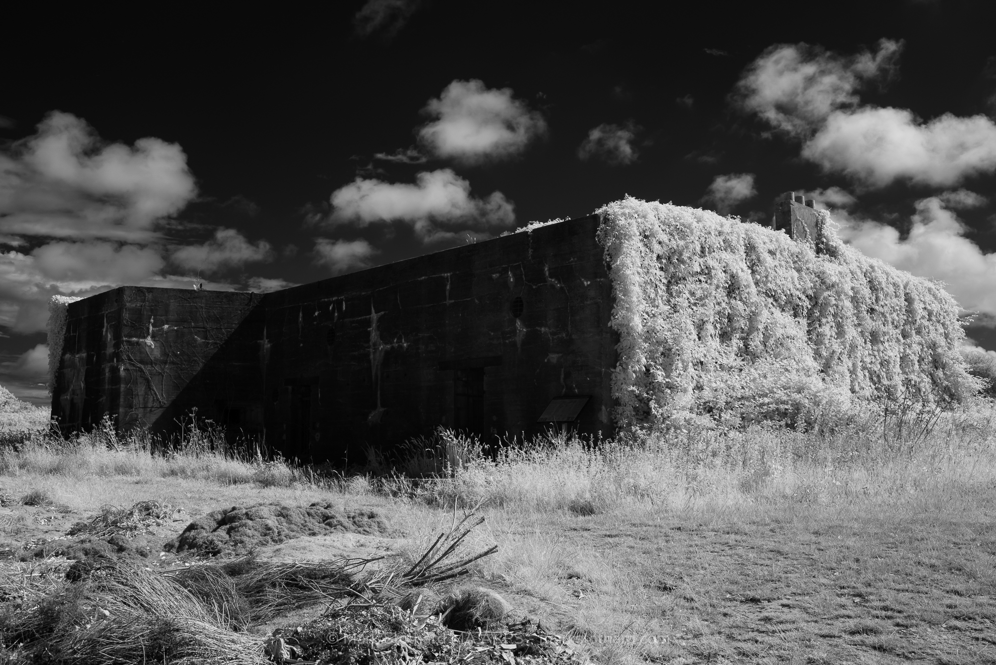 This infrared photograph reveals the Kernwerk Infantry Regiment HQ in Jersey, a German WW2 command bunker, through a surreal lens. The structure’s imposing concrete form, once a symbol of occupation and defense, is now enveloped by a luminous cascade of white vegetation, as if nature itself seeks to heal the wounds of the past. The sky above is a turbulent canvas of dark clouds and fleeting light, adding a sense of drama and tension to the scene.The bunker, a Regelbau 609SK, was designed to withstand invasion, its reinforced walls and strategic placement a testament to German engineering.Today, it stands as a silent witness to history, its utilitarian purpose softened by time and the encroaching wilderness. The infrared effect transforms the landscape into an otherworldly tableau, where the stark lines of the bunker contrast with the ethereal glow of the foliage. This juxtaposition evokes a poignant reflection on the passage of time, the resilience of nature, and the enduring echoes of war. For photographers and historians, Kernwerk offers a rare opportunity to capture the intersection of conflict, architecture, and the quiet power of renewal.